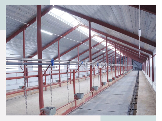 Строительство коровников в Электростали от 608 руб.