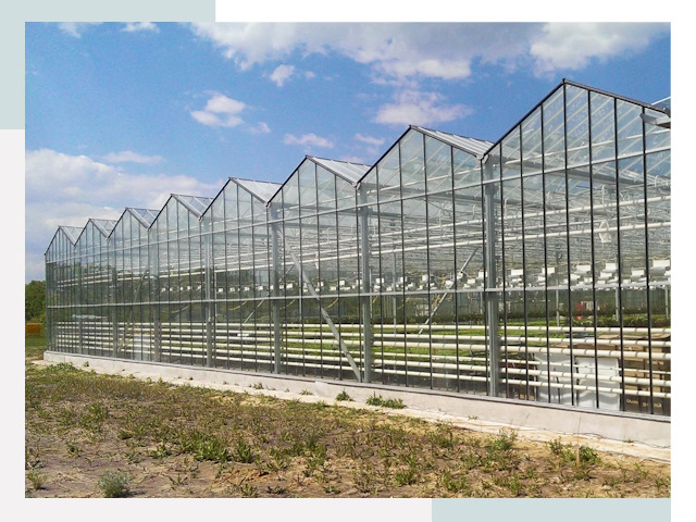 Строительство теплиц в Электросталь от 608 руб. за м²